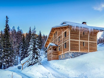 selection of ski chalets and apartments